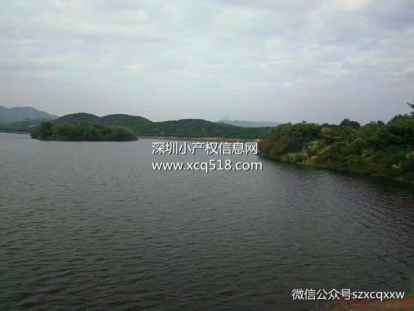 东莞虎门【牧马湖家园】小产权房最新楼盘出售 4栋大型统建楼