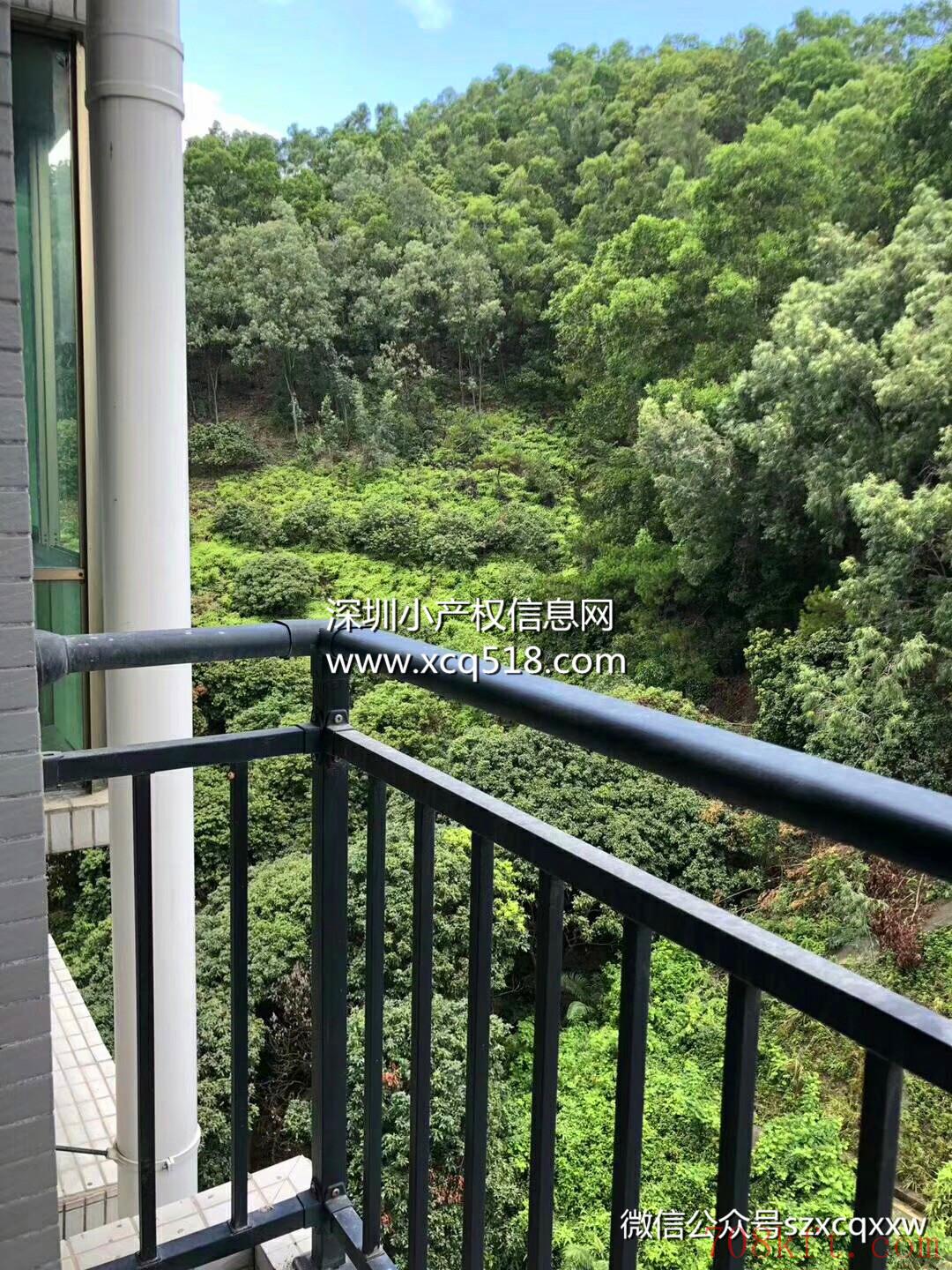 东莞虎门威远小产权房【龙门花园】最新开盘出售 带地下停车场